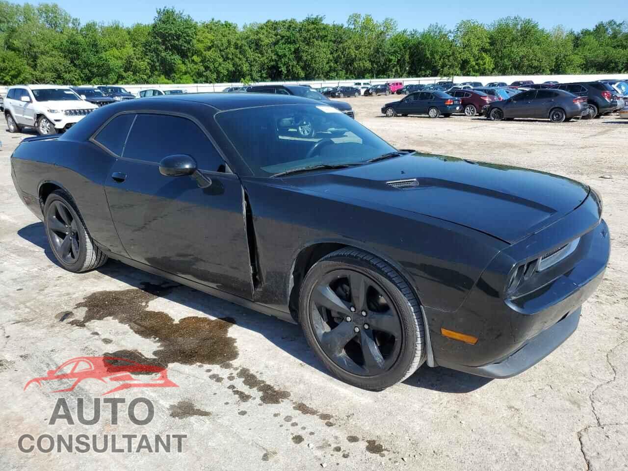 DODGE CHALLENGER 2014 - 2C3CDYAG4EH101447