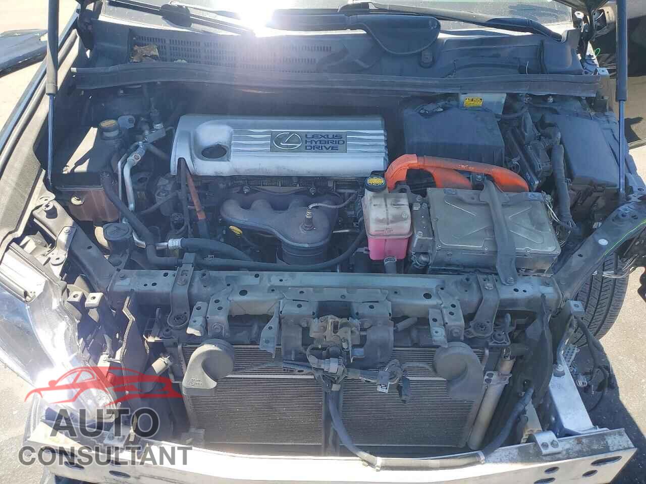 LEXUS HS 2010 - JTHBB1BA6A2021356