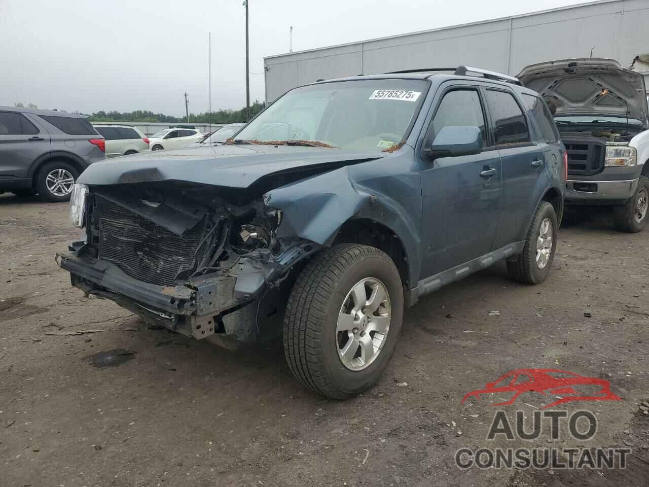 FORD ESCAPE 2011 - 1FMCU9EG6BKB20013