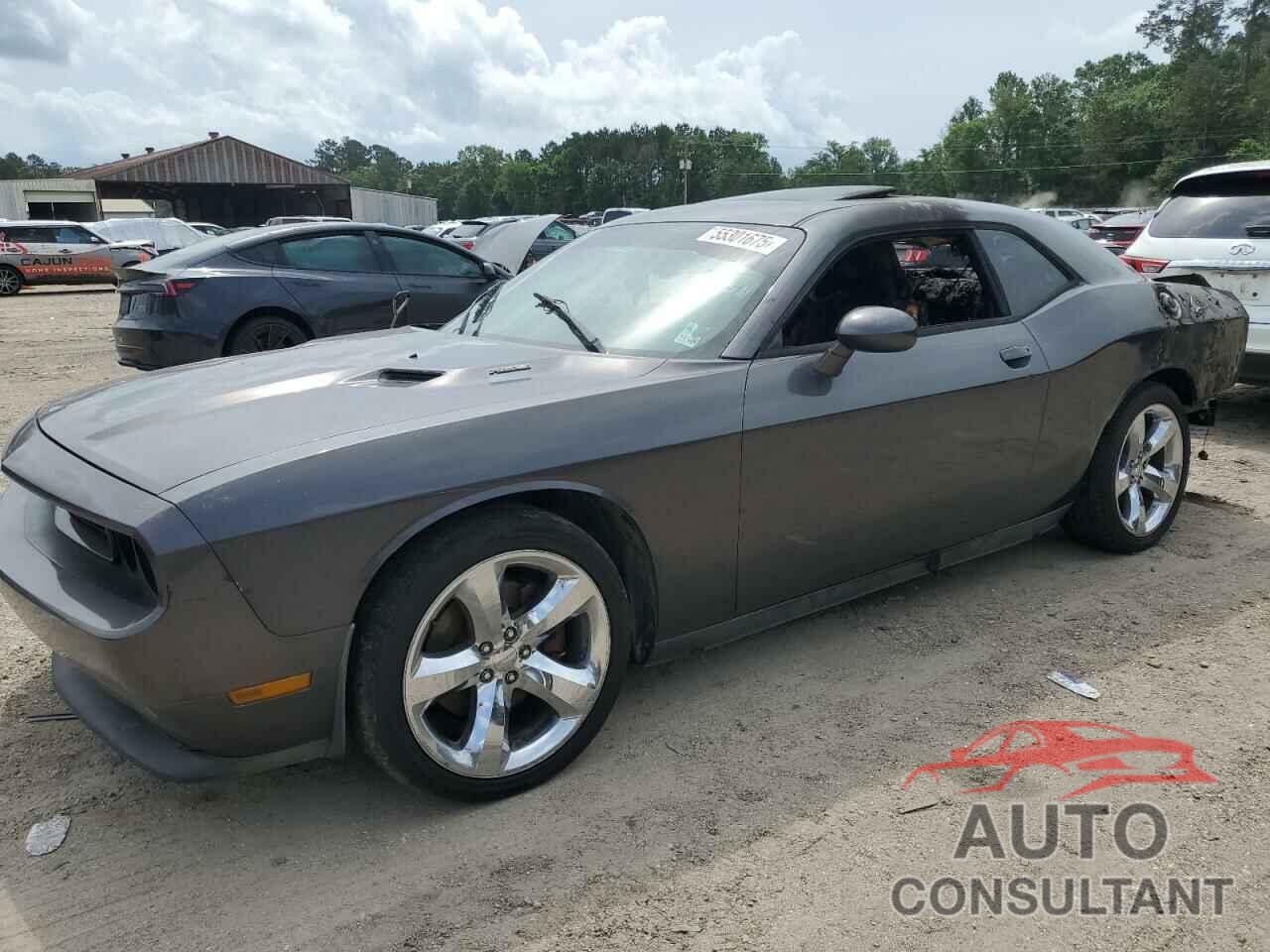 DODGE CHALLENGER 2013 - 2C3CDYBT3DH667951