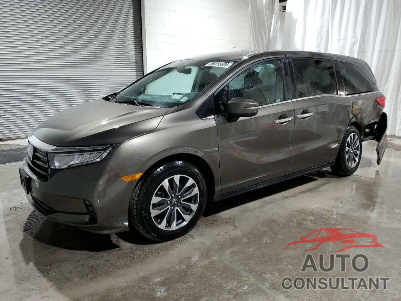 HONDA All Models 2022 - 5FNRL6H71NB008541