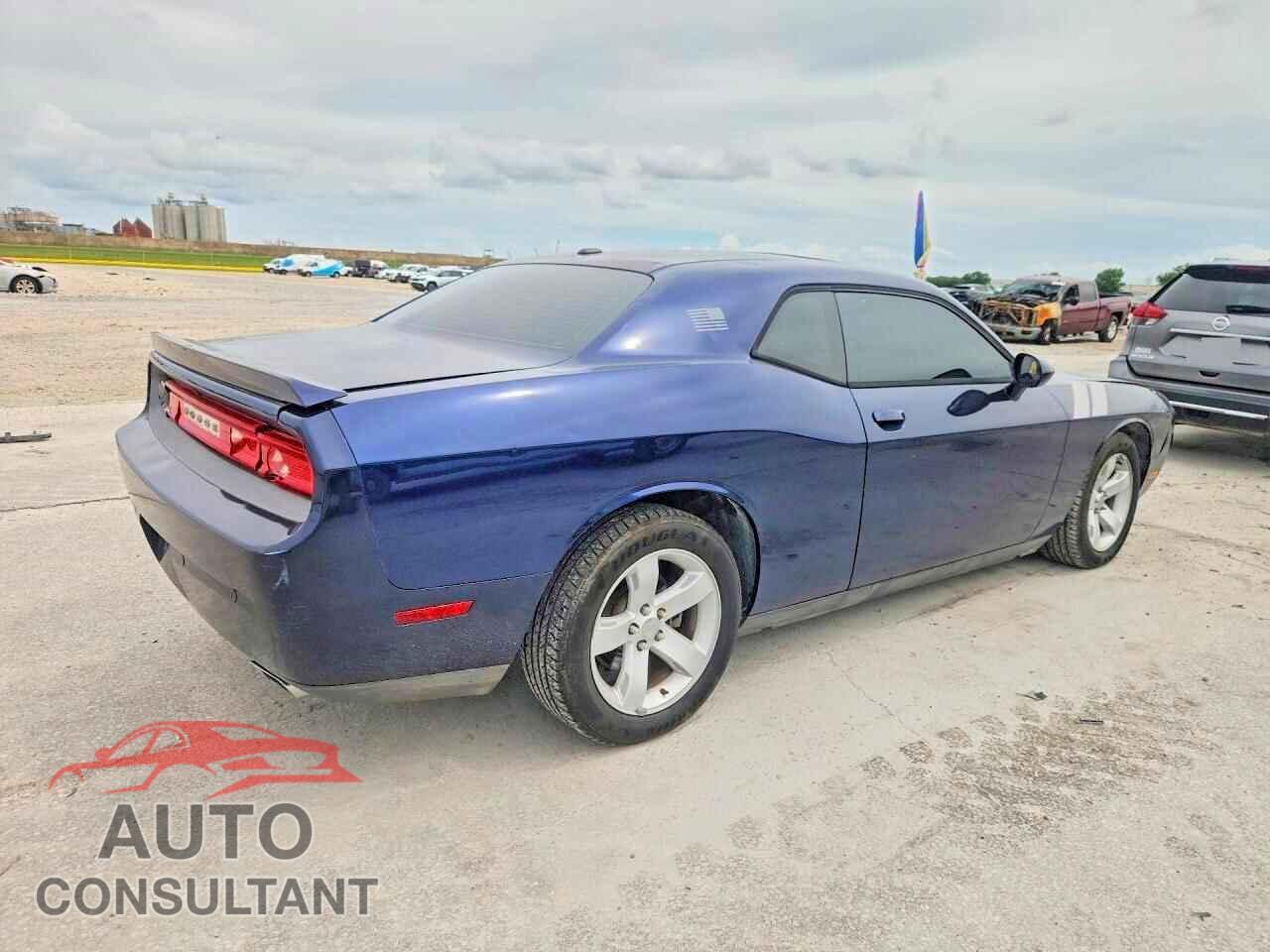 DODGE CHALLENGER 2014 - 2C3CDYBTXEH181896