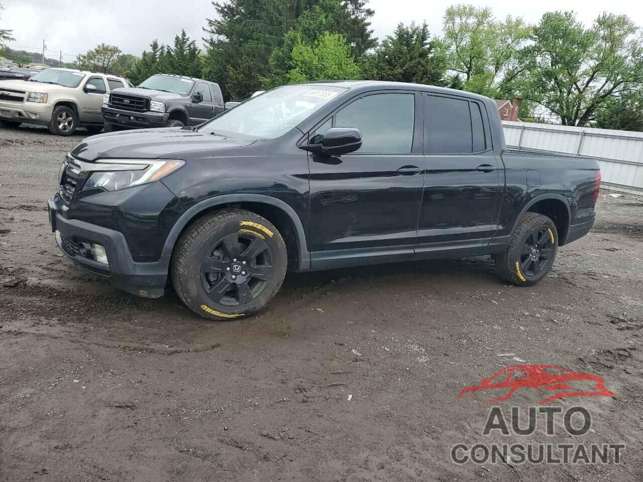 HONDA RIDGELINE 2019 - 5FPYK3F81KB022242