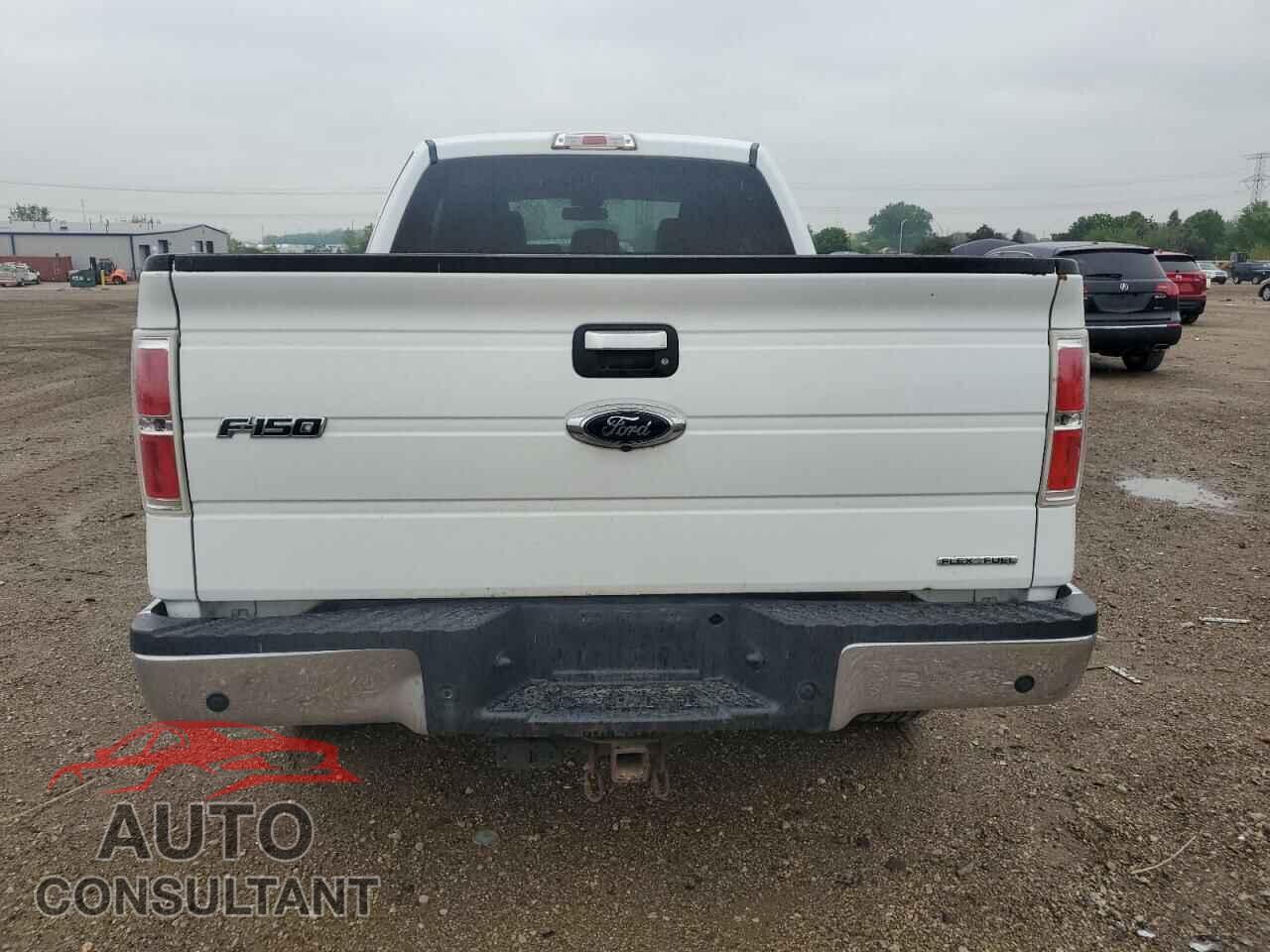 FORD F-150 2013 - 1FTFX1CF9DFD53898