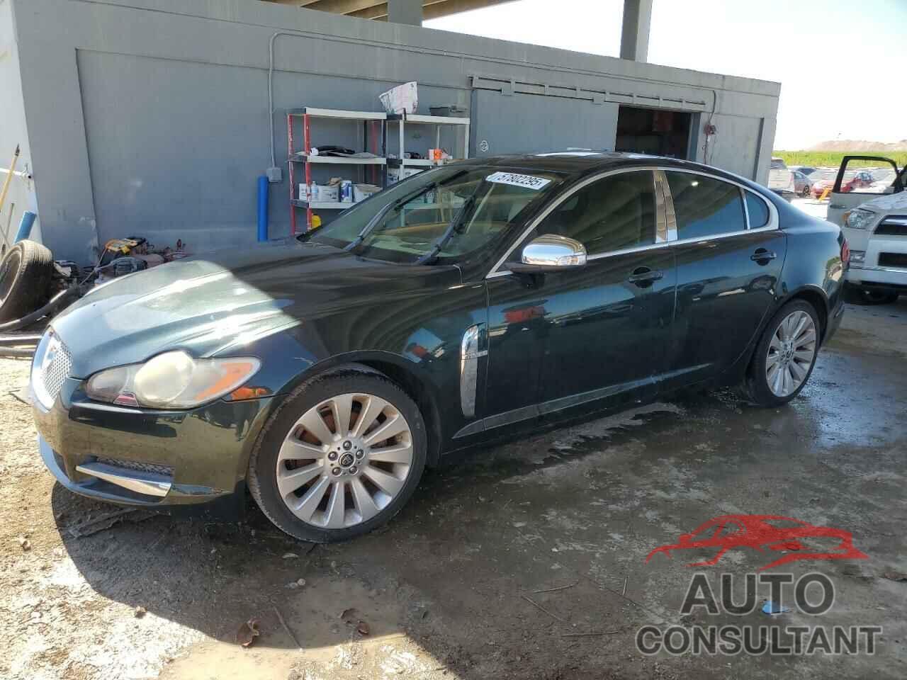JAGUAR XF 2009 - SAJWA06B29HR35469