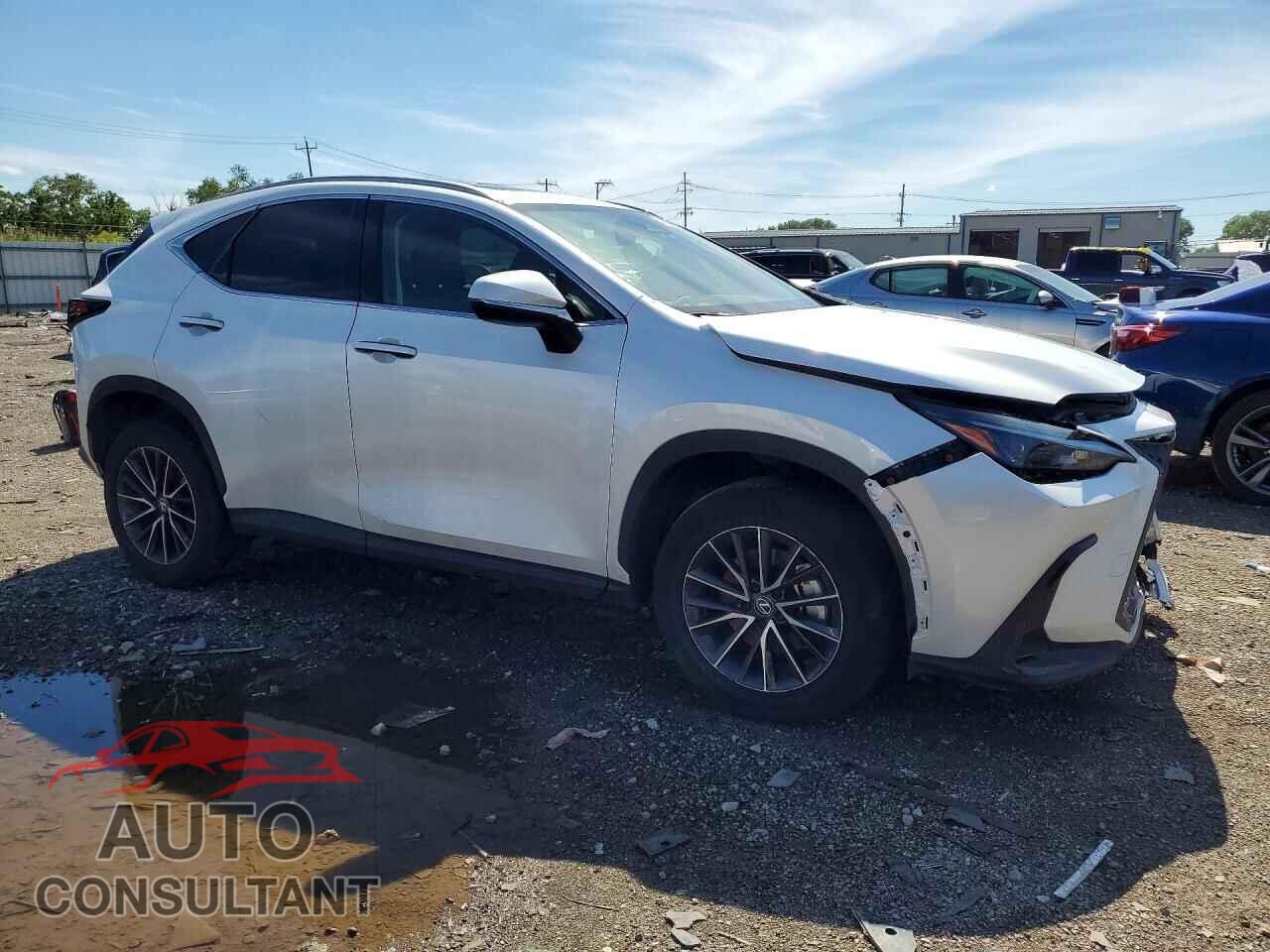 LEXUS NX 2024 - 2T2AGCEZ4RC059575