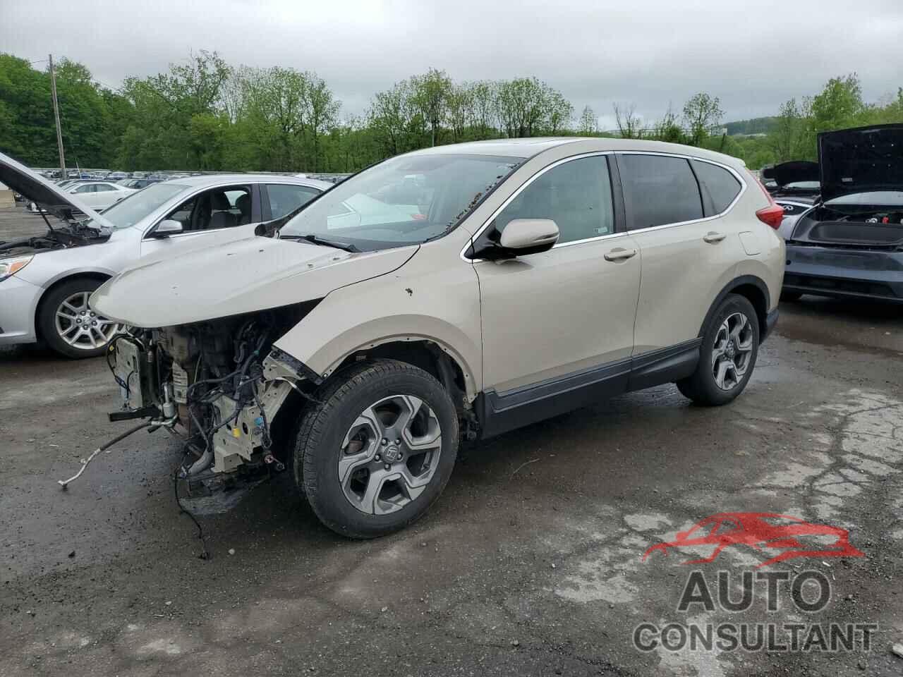 HONDA CRV 2019 - 2HKRW2H53KH622244