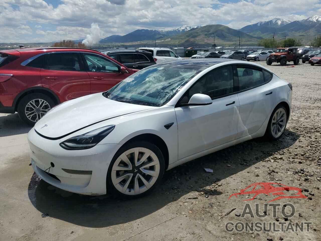 TESLA MODEL 3 2022 - 5YJ3E1EA8NF368702
