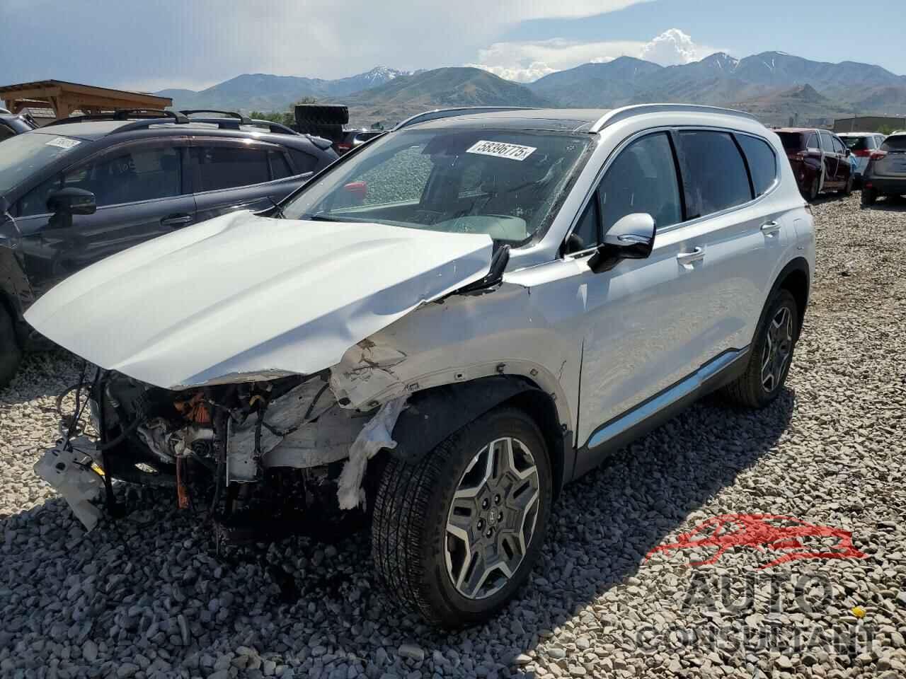 HYUNDAI SANTA FE 2022 - KM8S3DA15NU043095