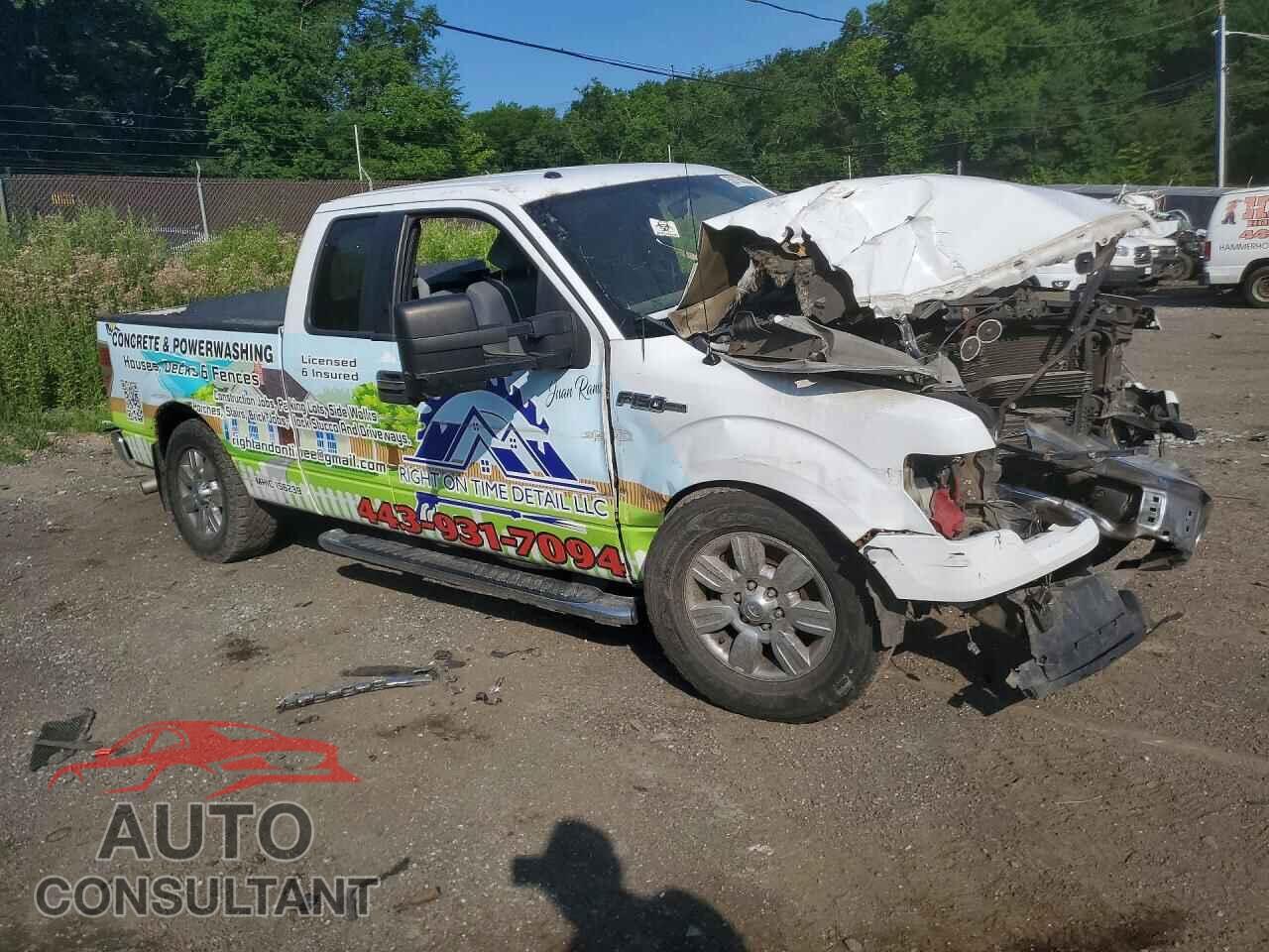 FORD F150 2011 - 1FTFX1ET3BFB49498