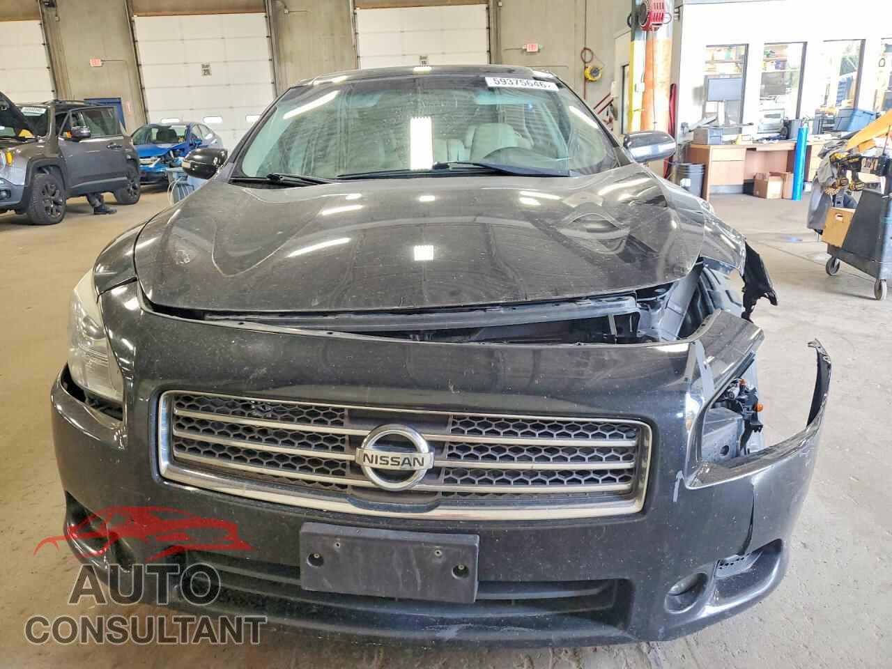 NISSAN MAXIMA 2011 - 1N4AA5APXBC863776