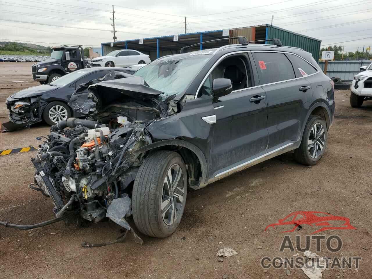 KIA SORENTO 2022 - KNDRJDLH1N5118405