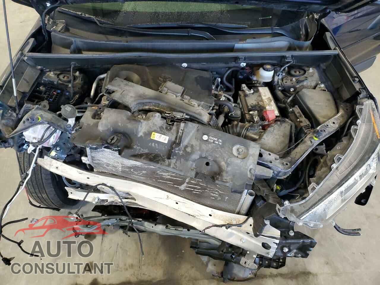 TOYOTA RAV4 2019 - JTMP1RFV2KJ020329