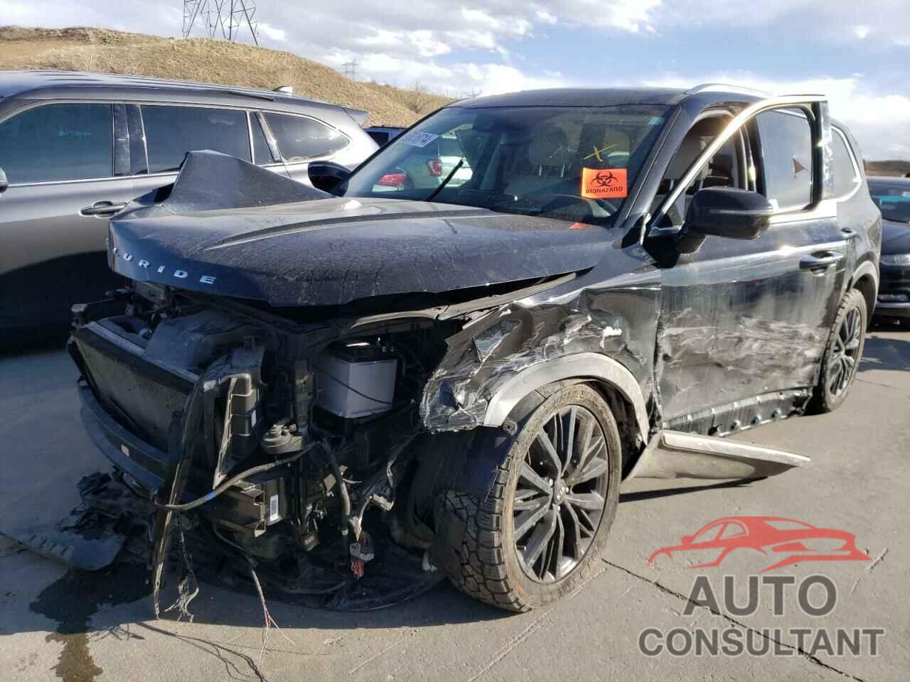 KIA TELLURIDE 2020 - 5XYP5DHCXLG044026