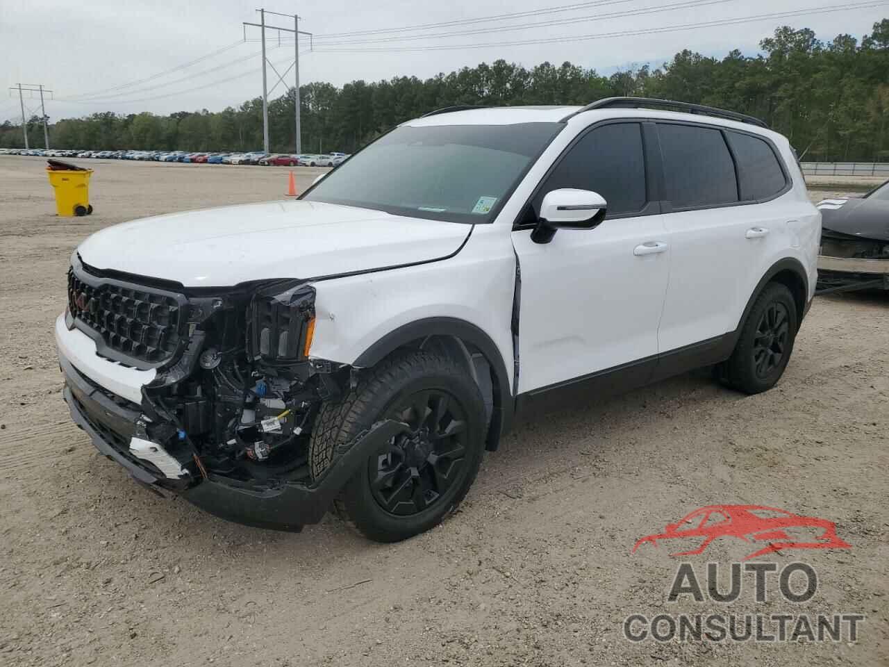 KIA TELLURIDE 2025 - 5XYP5DGC0SG594559