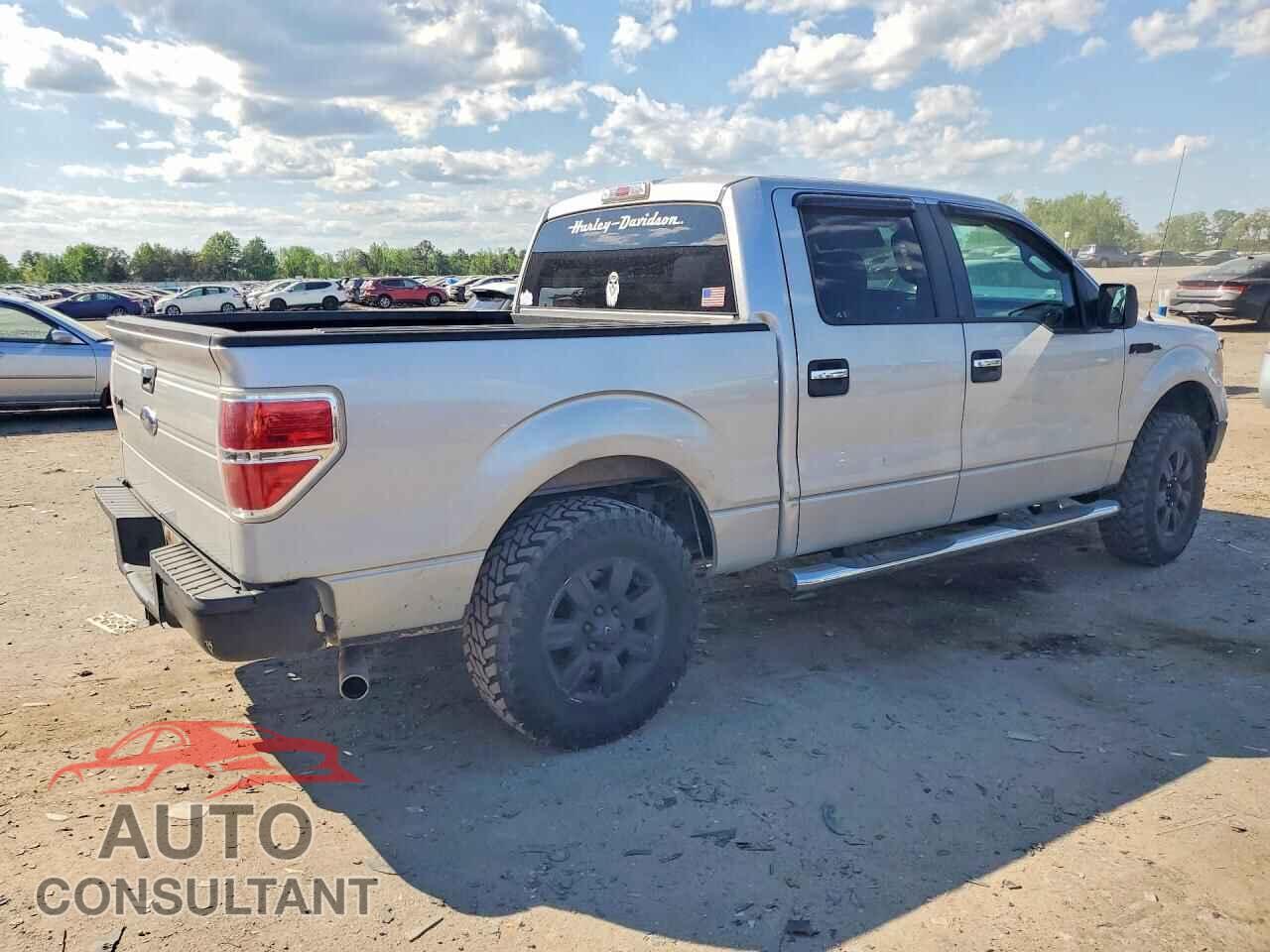FORD F150 2009 - 1FTRW12809FB17621