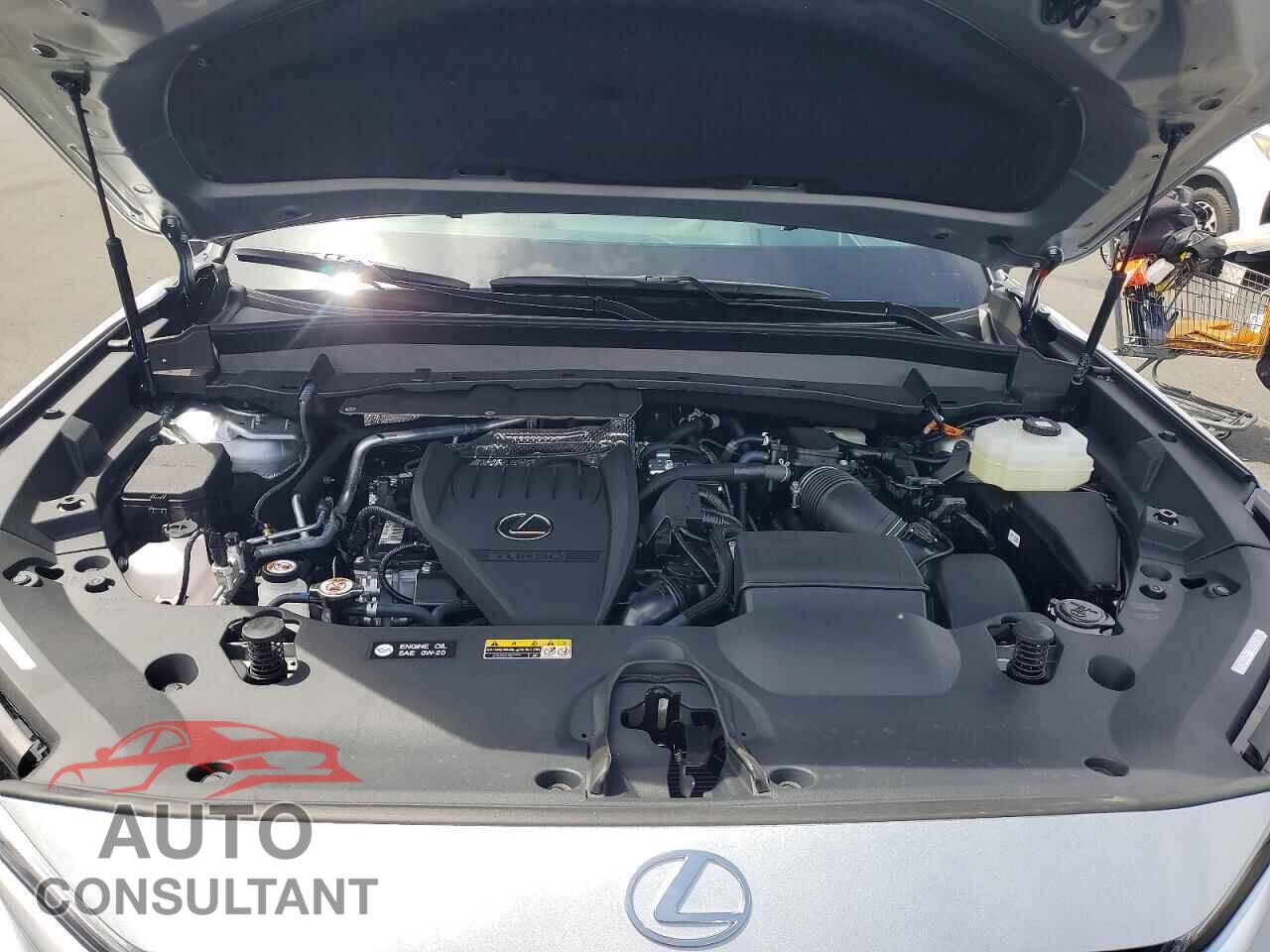 LEXUS UNKNOWN 2026 - 5TDABAB61TS021902