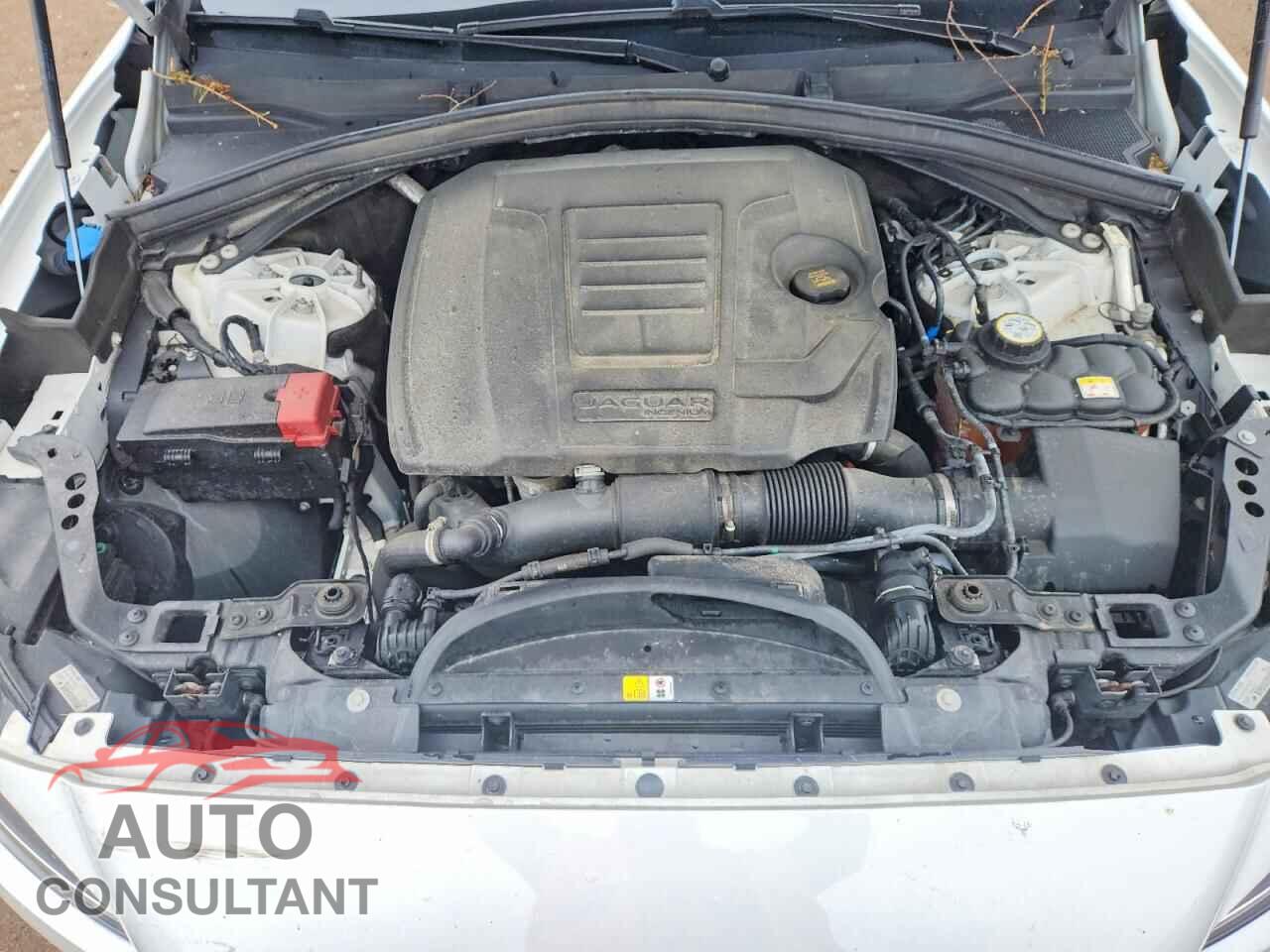 JAGUAR F-PACE 2020 - SADCJ2FX0LA645518