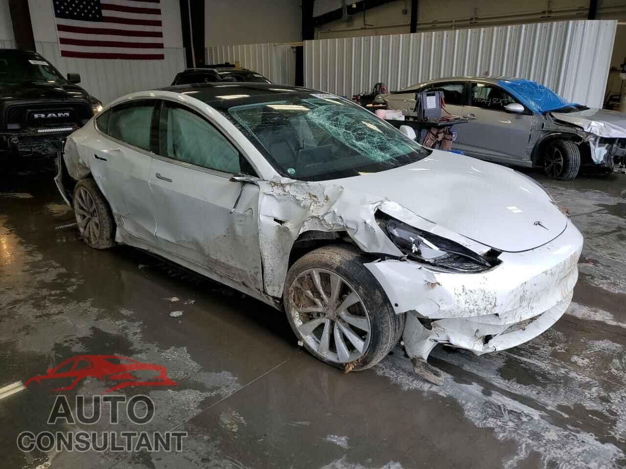 TESLA MODEL 3 2019 - 5YJ3E1EB3KF494292