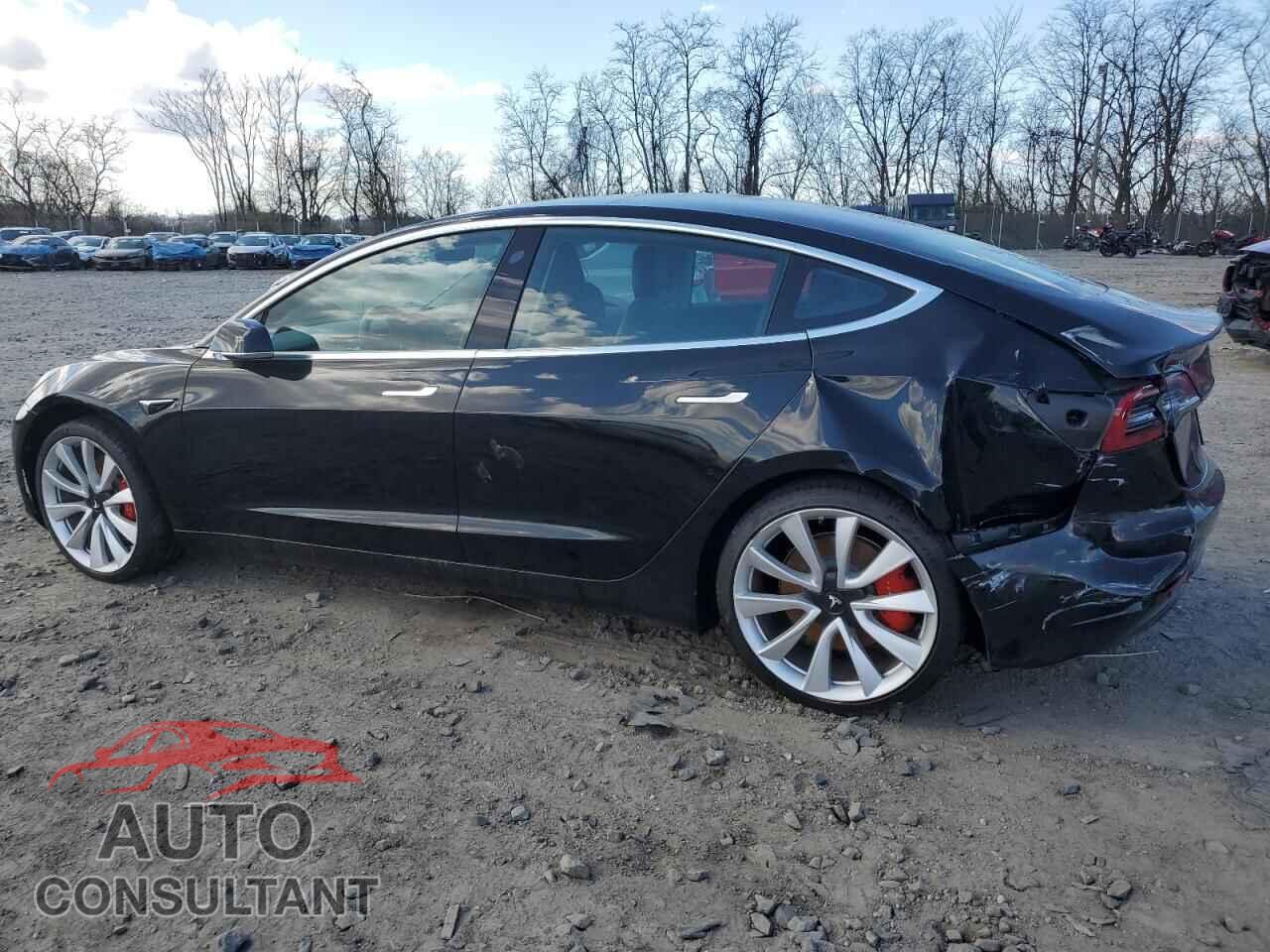 TESLA MODEL 3 2019 - 5YJ3E1EB8KF441619
