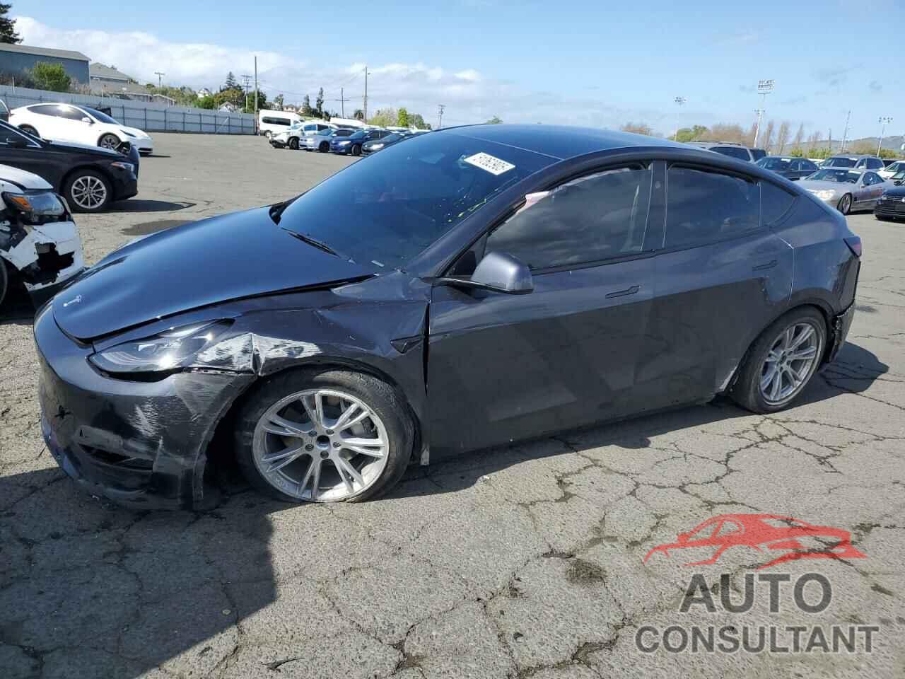 TESLA MODEL Y 2024 - 7SAYGDED7RF074101