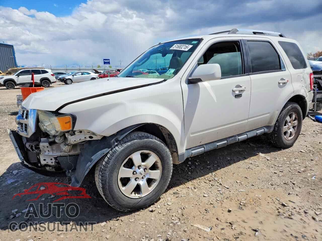 FORD ESCAPE 2011 - 1FMCU0EG6BKC71283