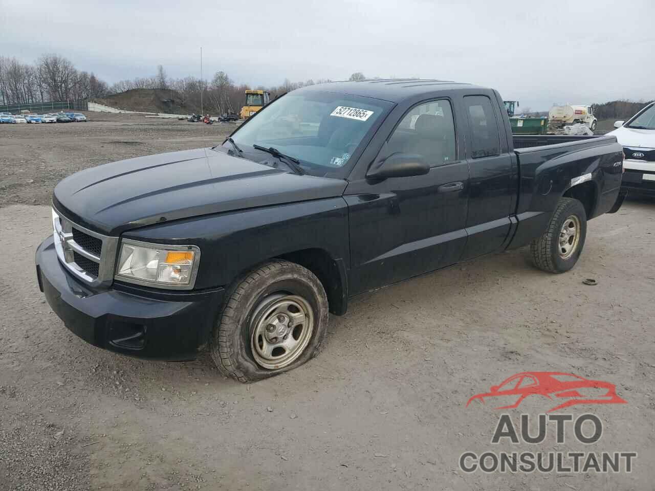 DODGE DAKOTA 2010 - 1D7CW2BK3AS110848