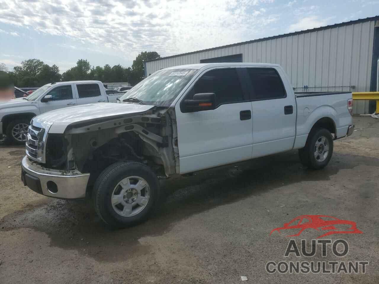 FORD F-150 2010 - 1FTEW1C83AFB09935