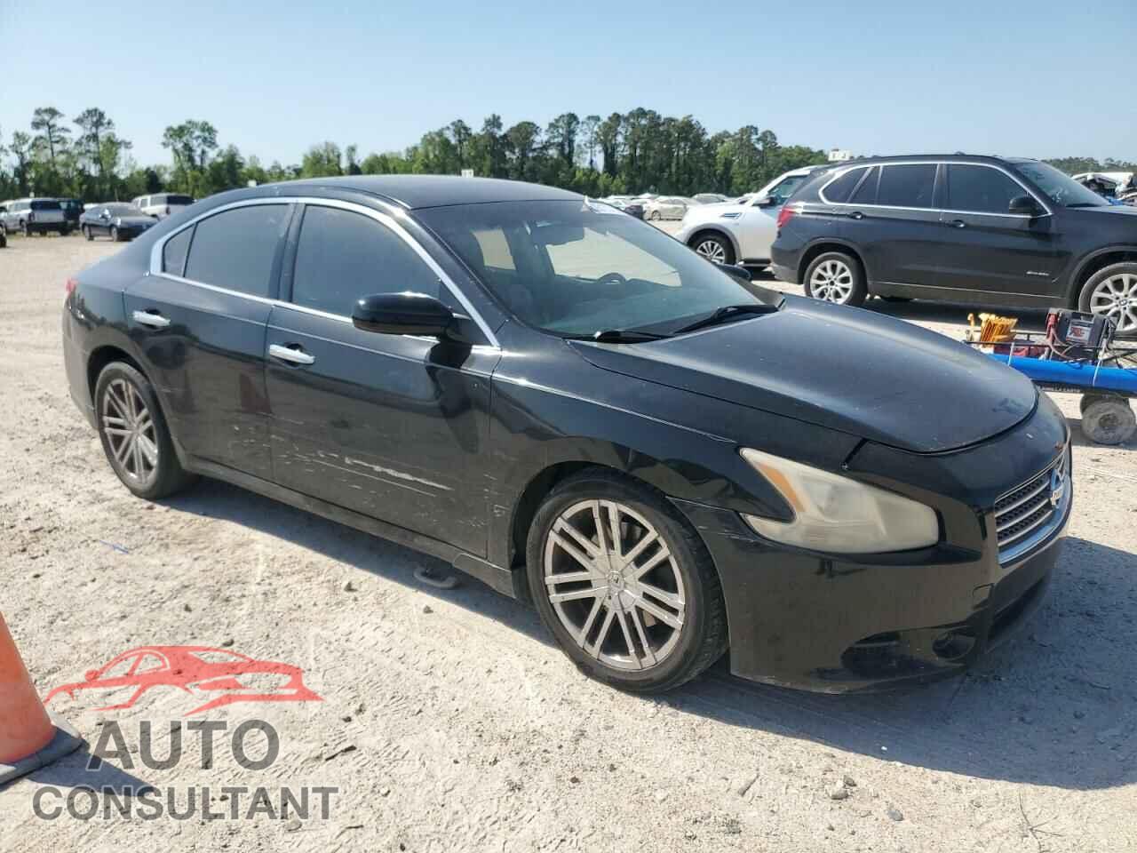 NISSAN MAXIMA 2009 - 1N4AA51E69C856493