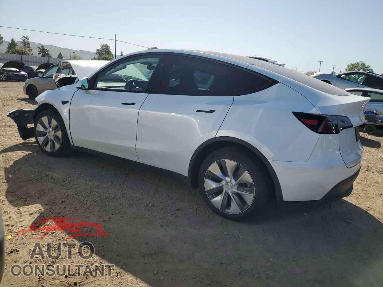 TESLA MODEL Y 2024 - 7SAYGDEE0RF081948