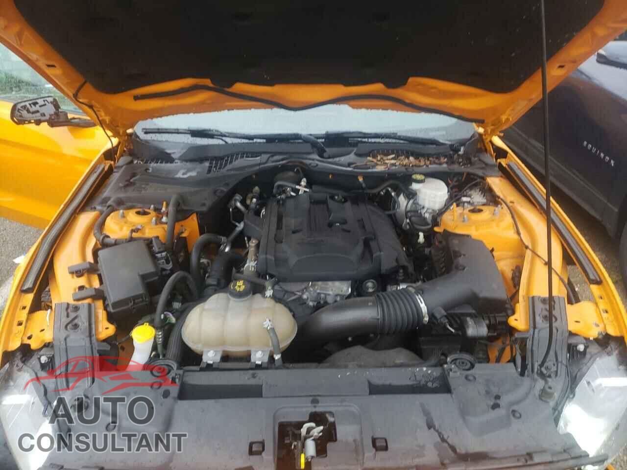 FORD MUSTANG 2019 - 1FA6P8TH4K5180942