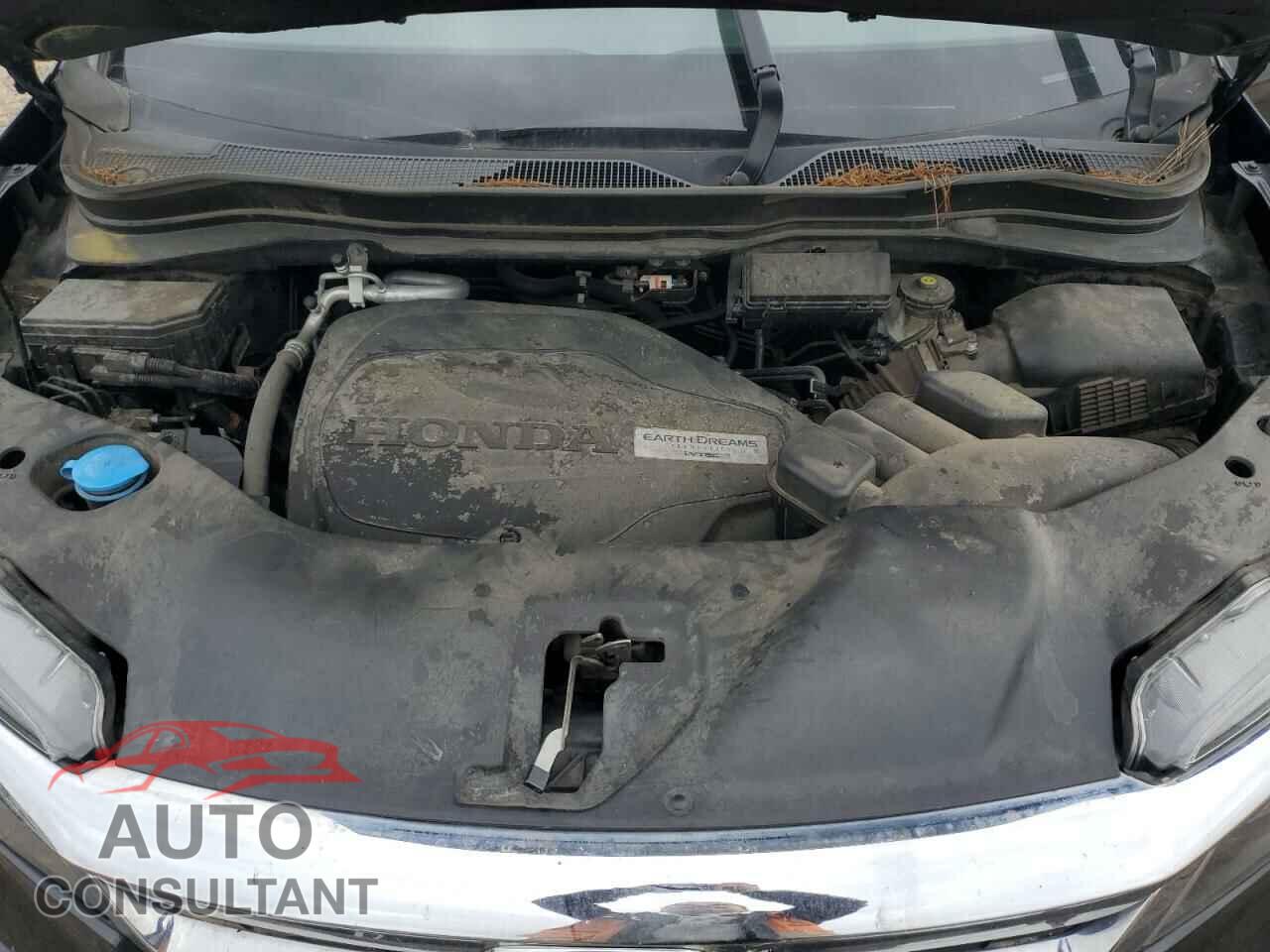 HONDA PILOT 2019 - 5FNYF5H5XKB020081