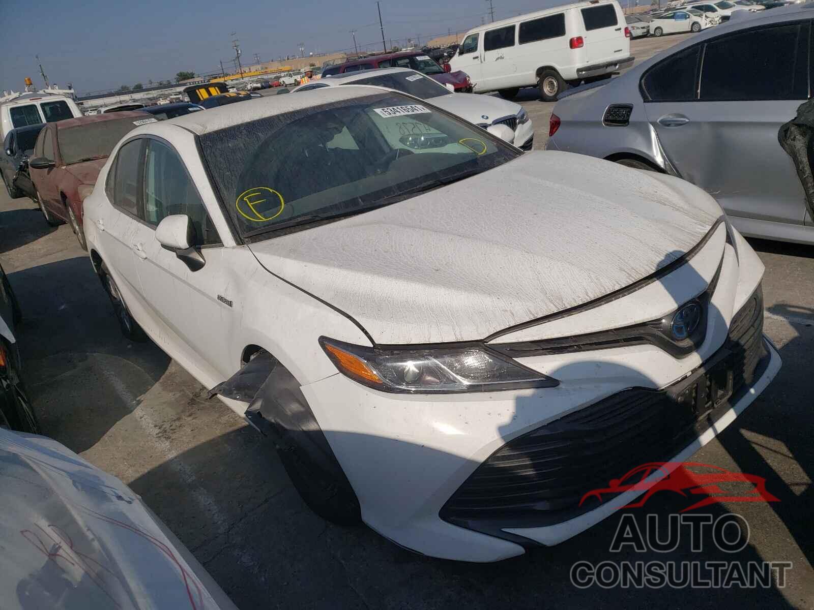 TOYOTA CAMRY 2019 - 4T1B31HK1KU513339