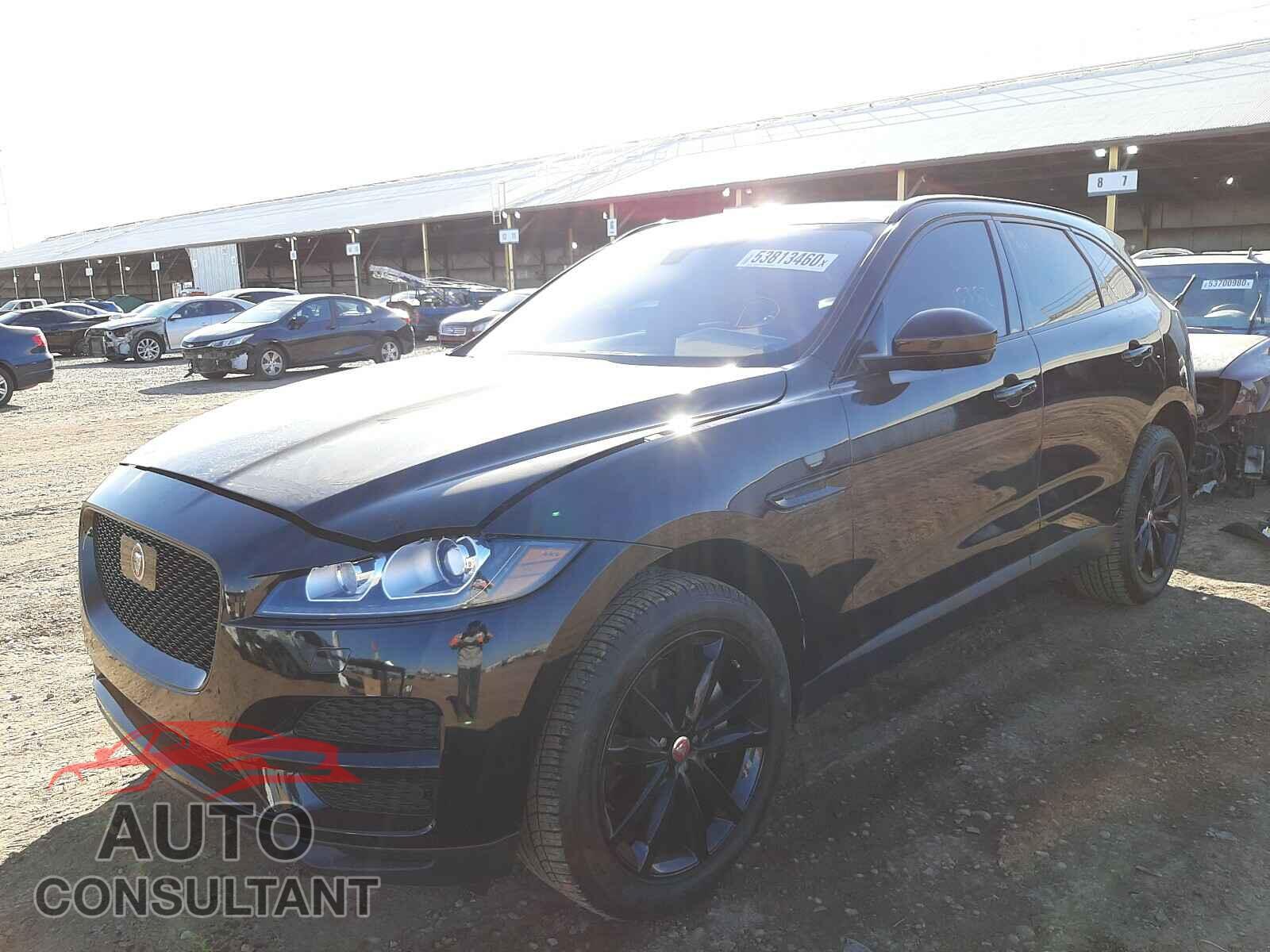 JAGUAR F-PACE 2019 - SADCK2GX5KA355110