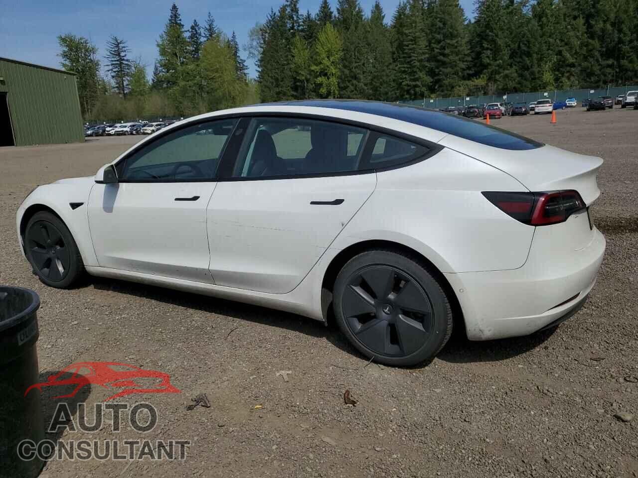 TESLA MODEL 3 2021 - 5YJ3E1EAXMF091713