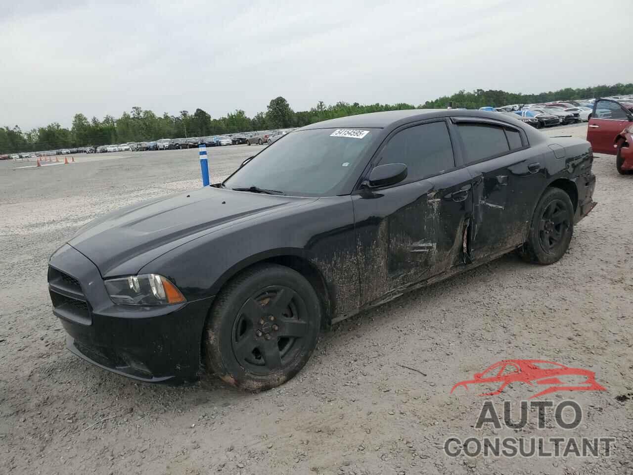 DODGE CHARGER 2014 - 2C3CDXAT9EH248225