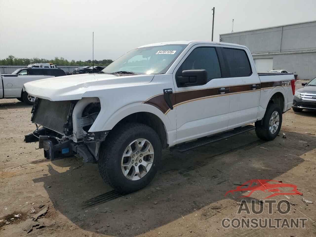 FORD F150 2022 - 1FTFW1P88NKD26019