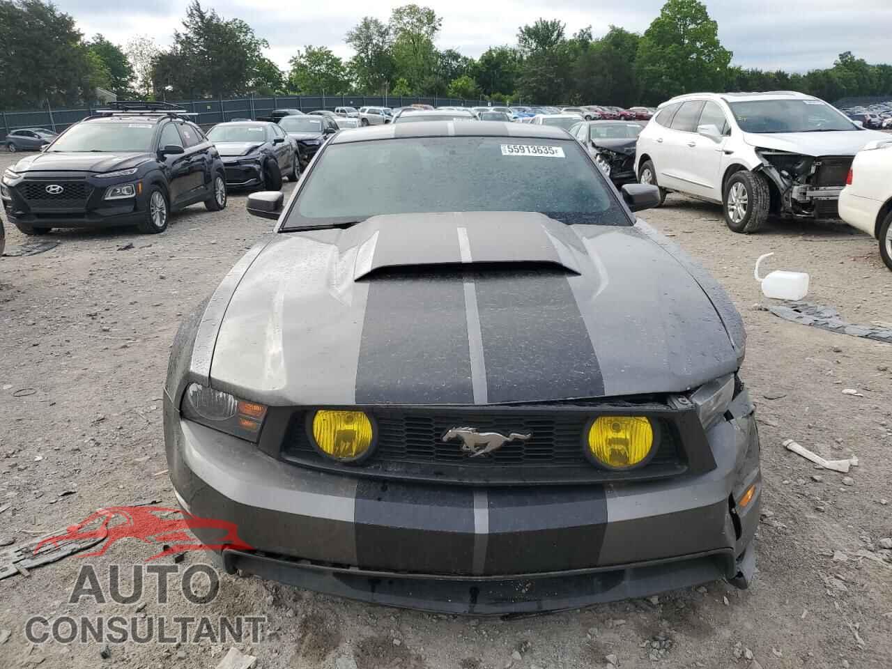 FORD MUSTANG 2011 - 1ZVBP8CF7B5146224