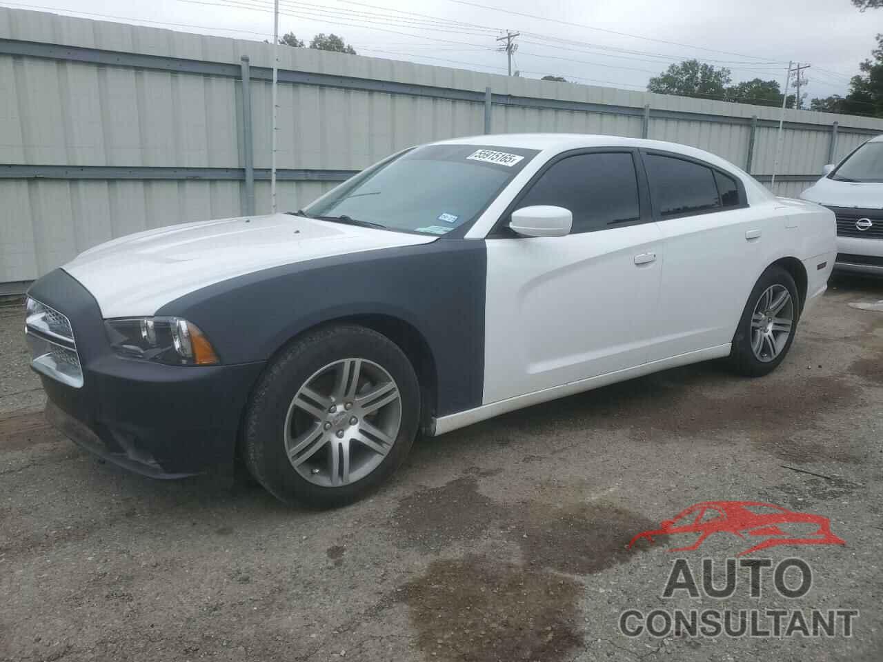 DODGE CHARGER 2014 - 2C3CDXHG8EH149887