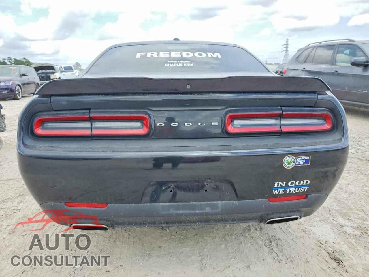 DODGE CHALLENGER 2019 - 2C3CDZAGXKH751384