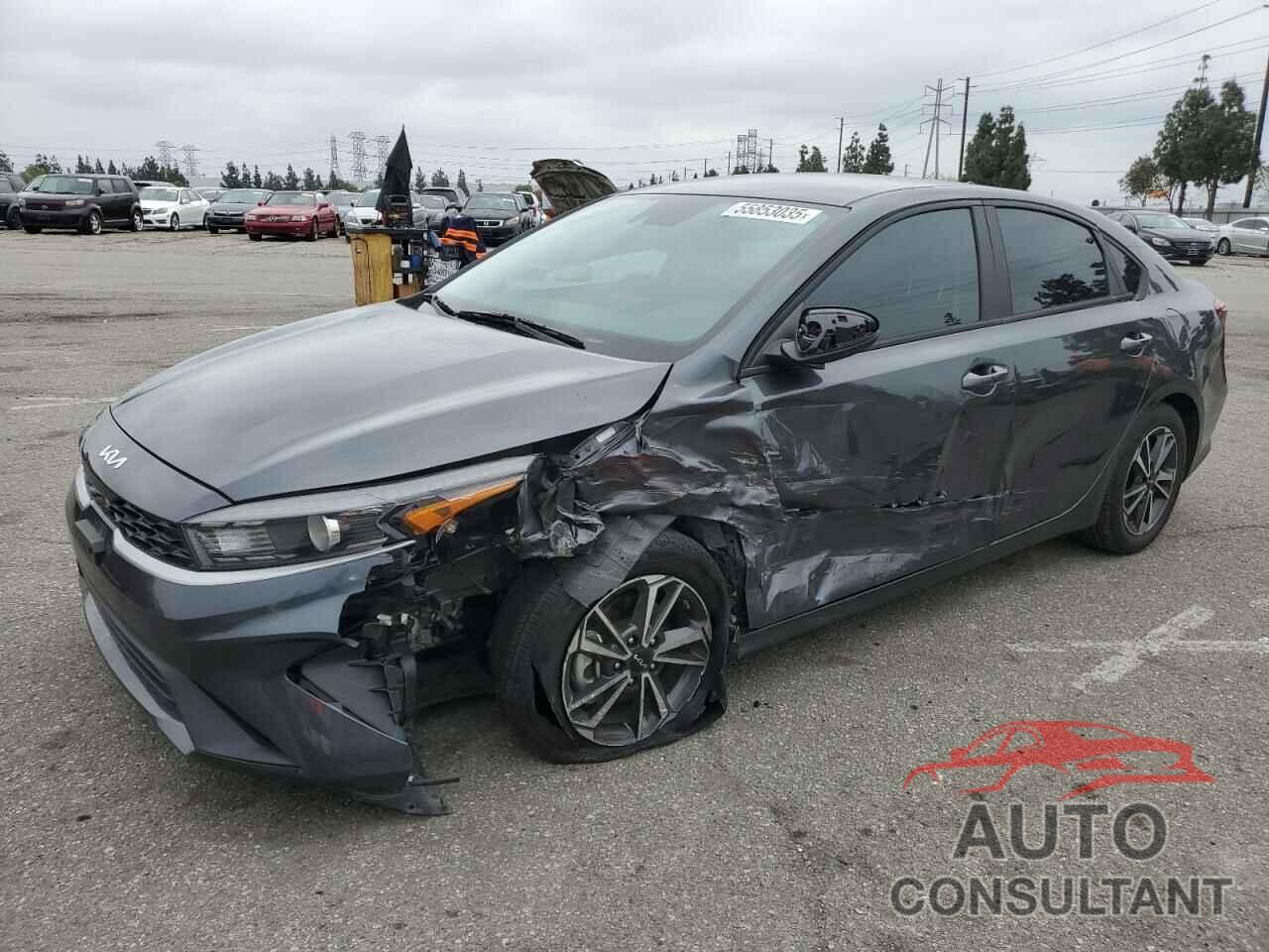 KIA FORTE 2022 - 3KPF24AD7NE501351