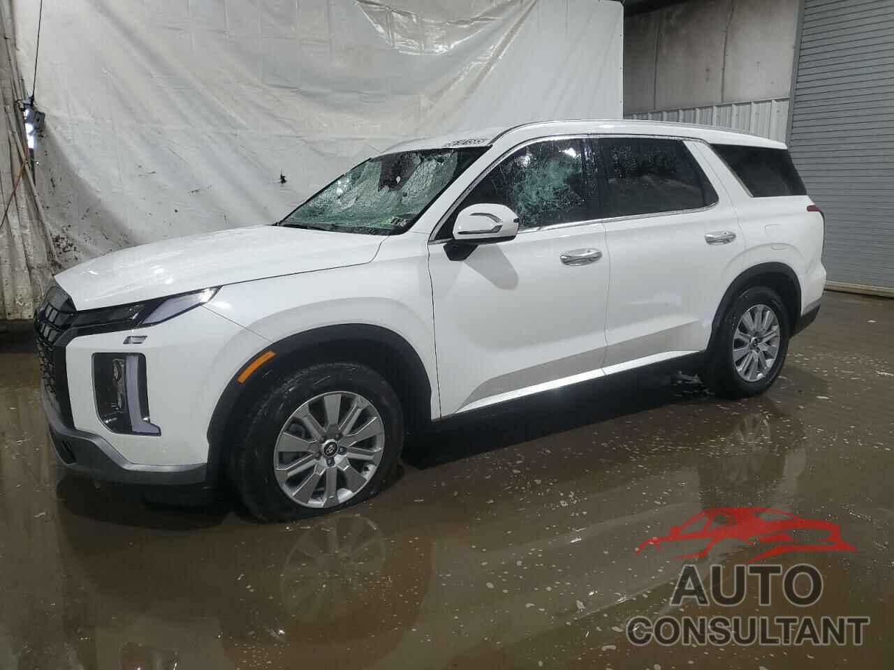 HYUNDAI PALISADE 2025 - KM8R2DGE9SU838674