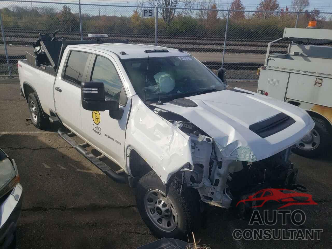 CHEVROLET SILVERADO 2020 - 1GC4YSE74LF294760