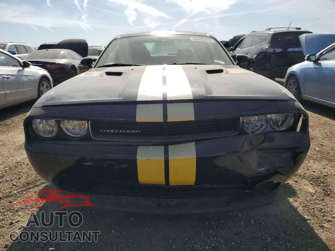 DODGE CHALLENGER 2013 - 2C3CDYAG4DH692197