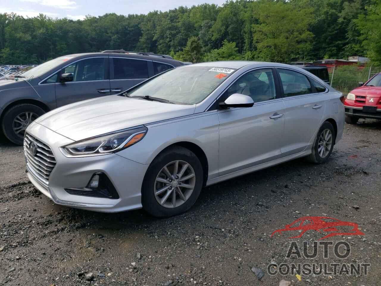 HYUNDAI SONATA 2019 - 5NPE24AF7KH753363