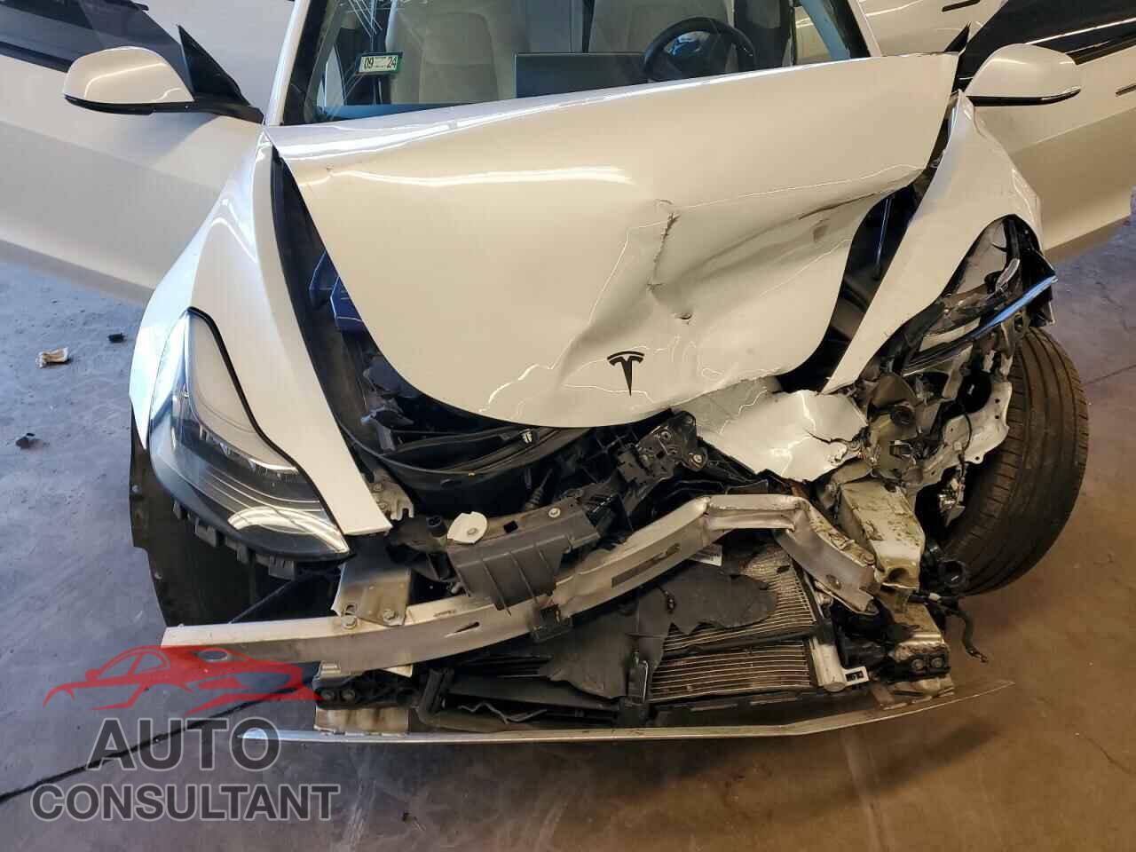 TESLA MODEL 3 2019 - 5YJ3E1EA1KF431876