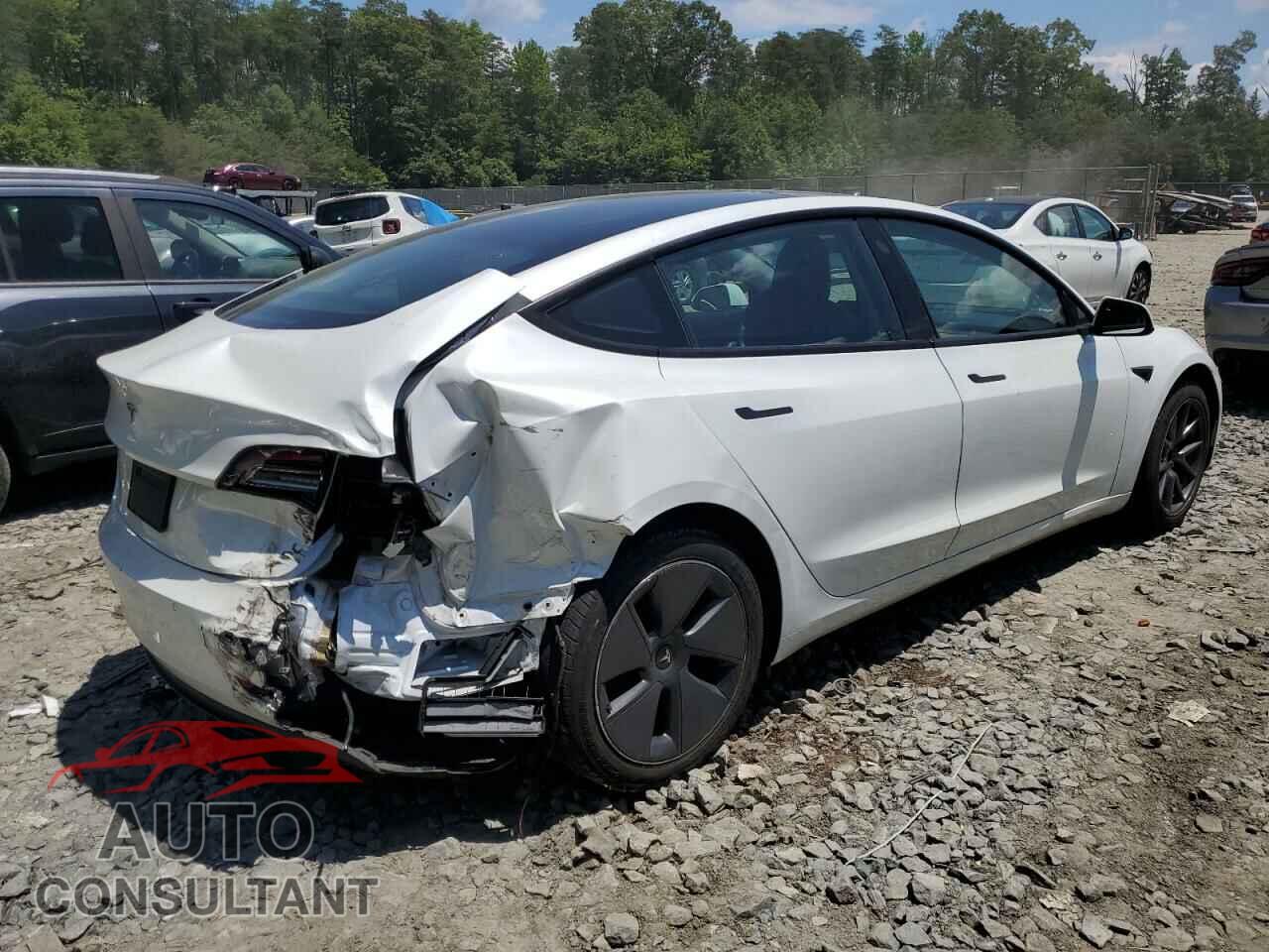 TESLA MODEL 3 2021 - 5YJ3E1EA2MF851987