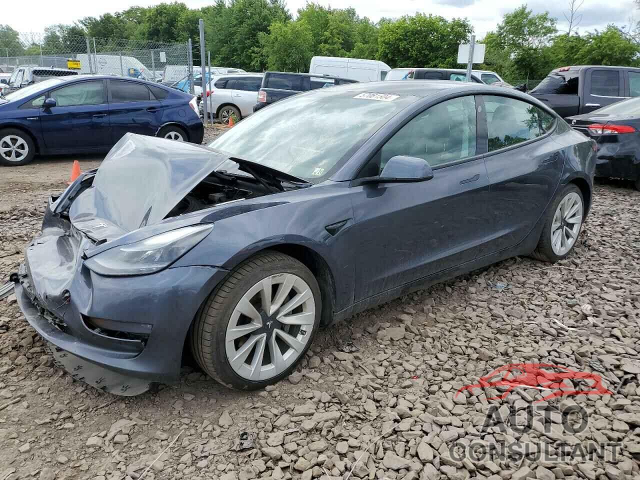 TESLA MODEL 3 2021 - 5YJ3E1EB1MF975130