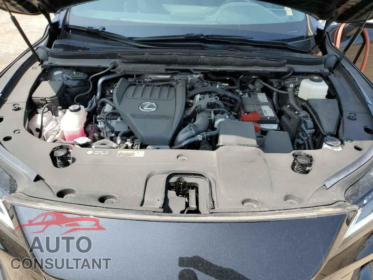 LEXUS RX350 2023 - 2T2BAMCA7PC010330