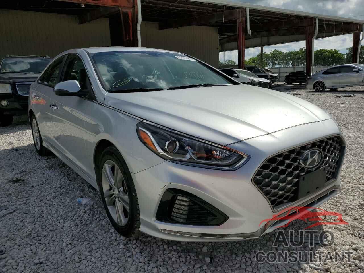 HYUNDAI SONATA 2019 - 5NPE34AF3KH771033